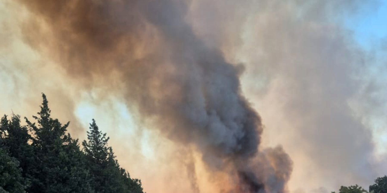 Edirne’de orman yangını çıktı