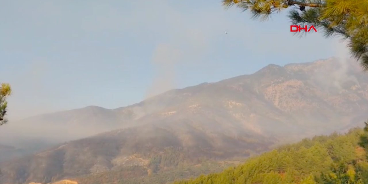 Hatay'da orman yangını: İki mahalle tahliye edildi