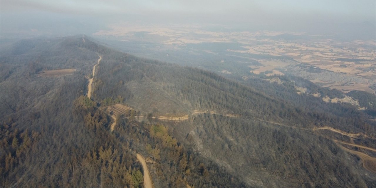 Çanakkale yangınında zarar gören orman alanları havadan görüntülendi