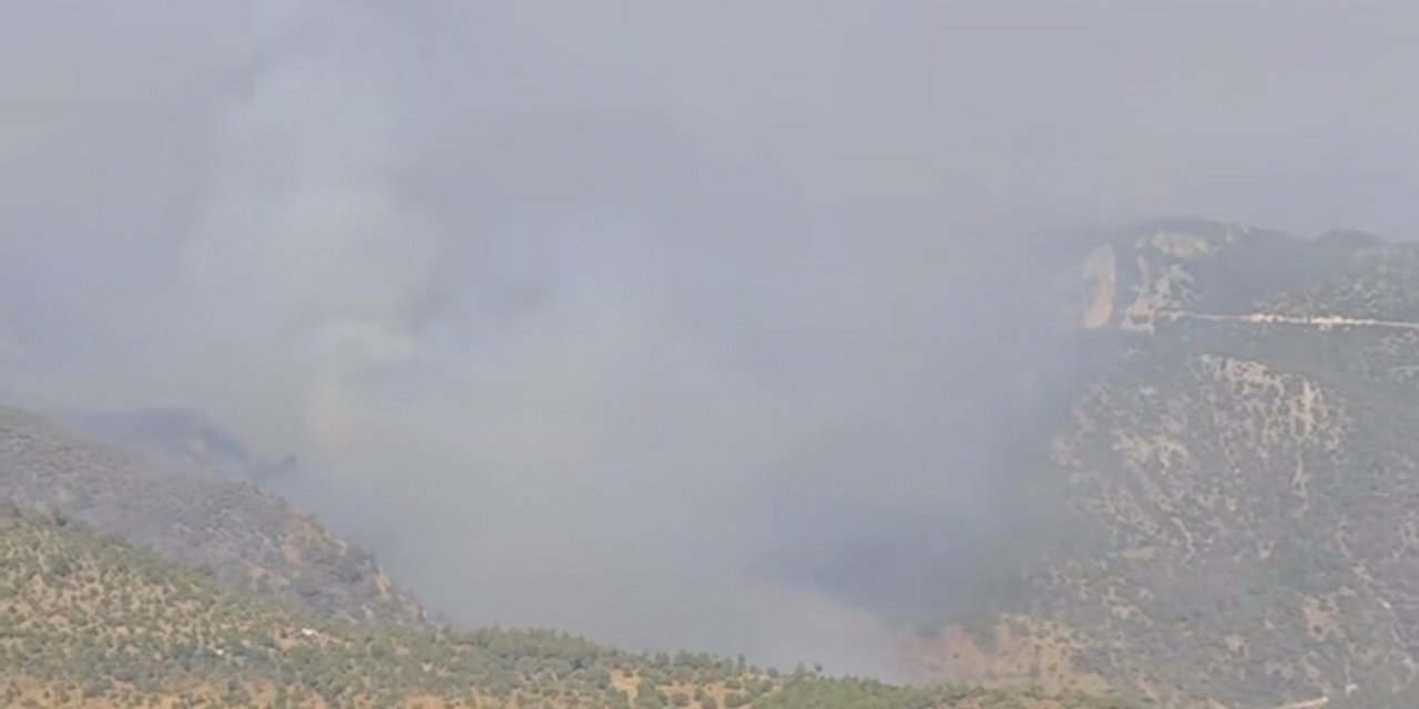 Denizli'deki orman yangını Aydın'a sıçradı