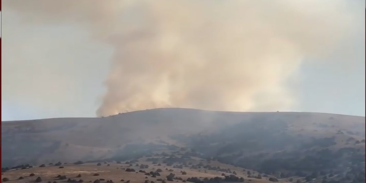 Sivas'taki anız yangını ağaçlık alana sıçradı