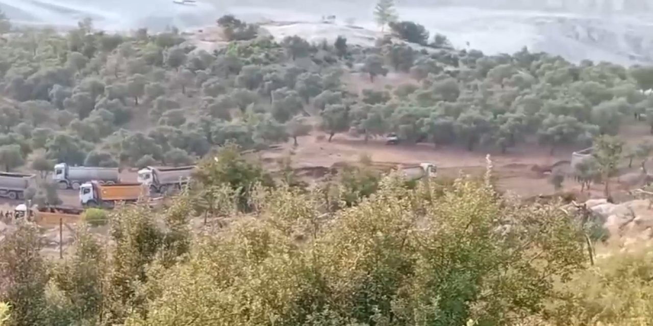 Jandarmayla gelen iş makineleri Akbelen'de zeytinliklere girdi