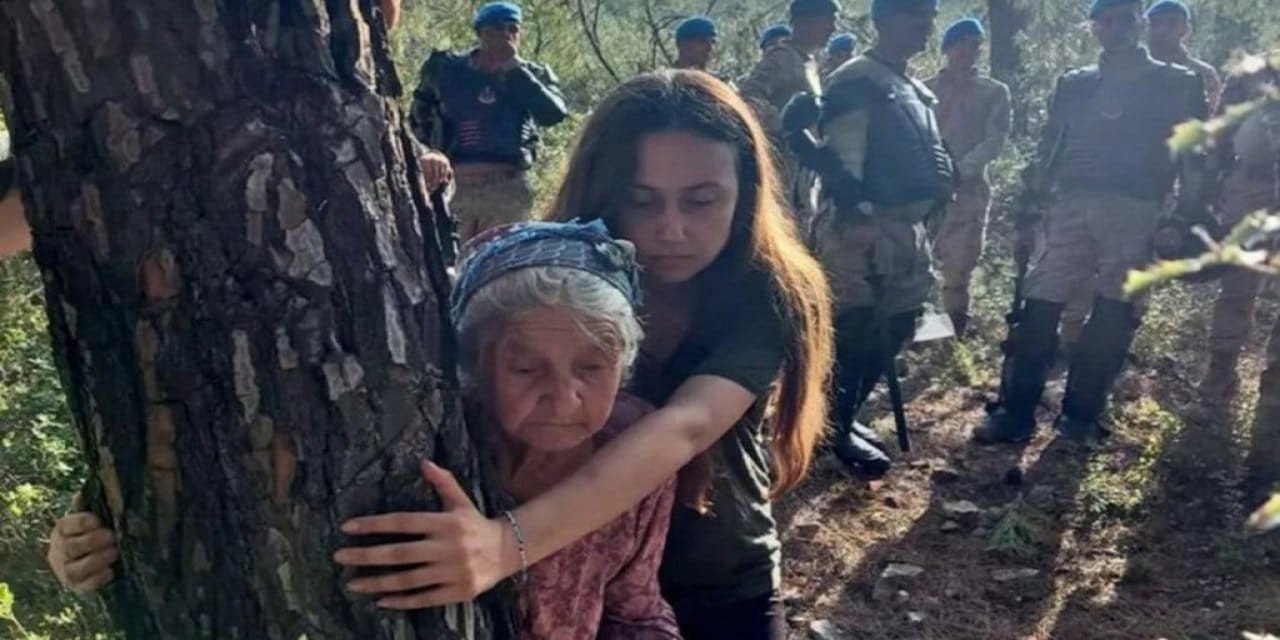 Akbelen'de bazı ağaçlara dokunulmama sebebi: 'Jandarma gölgede durabilsin diye'