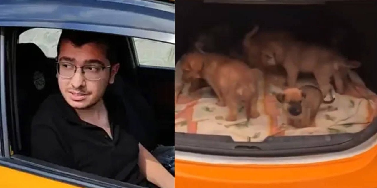 Seri hayvan katili davasındaki çelişkiler: 'Evdeki kıl örnekleri insana ait değil'