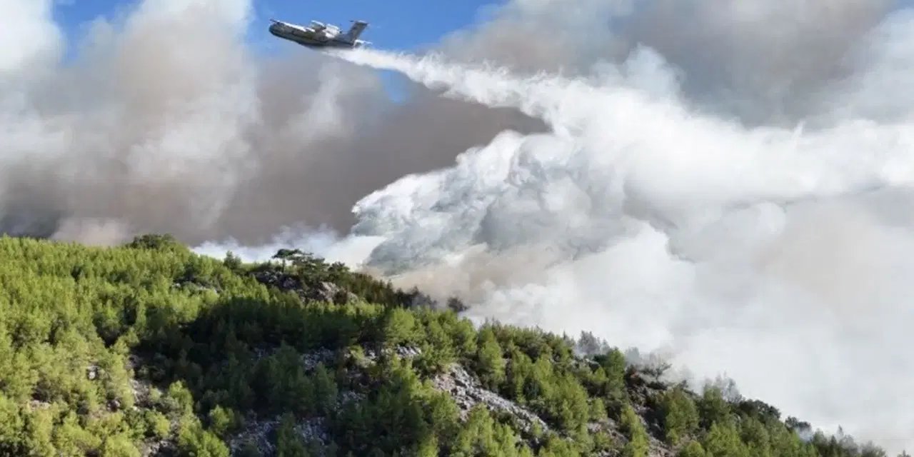 Muğla Köyceğiz'deki orman yangını 2'nci gününde: Müdahale sürüyor