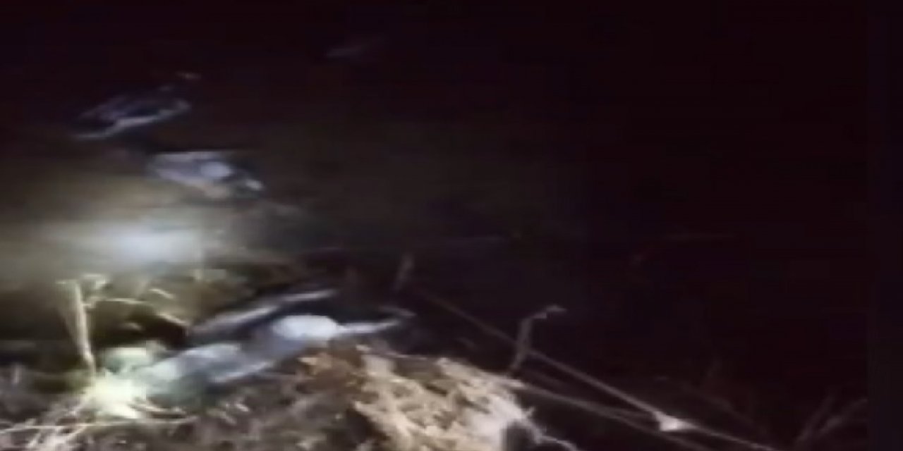 Kaçak avlanan avcı, milli parklar görevlilerine ateş açtı
