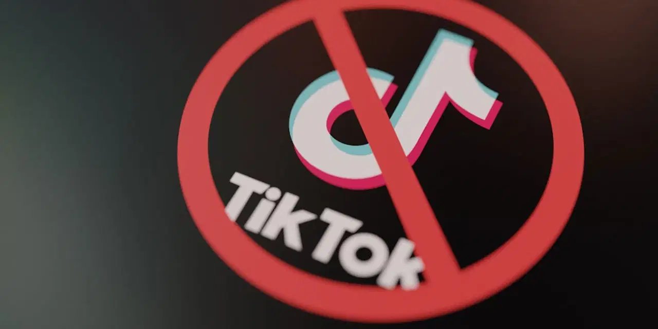 MHP'den TikTok talebi: 'Erişim engeli ve kapatma'