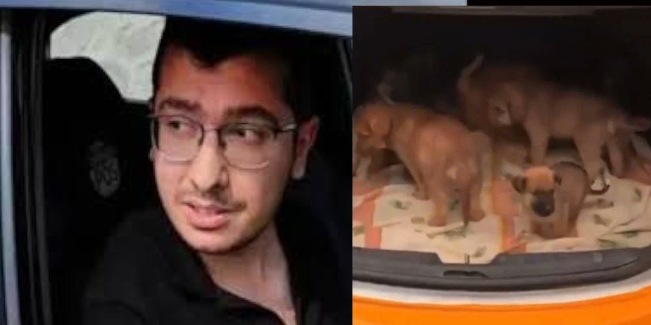 Ankara'da köpekleri işkenceyle öldüren doktor hakkında 9 yıl 9 ay hapis