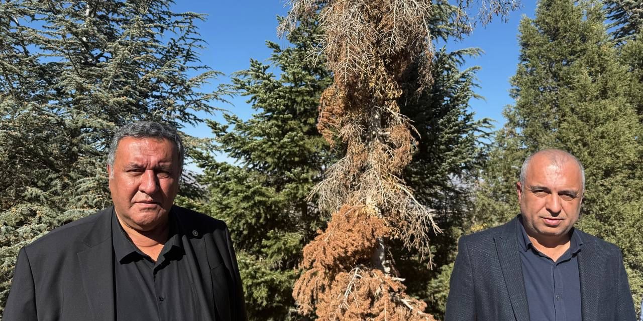 CHP'li Gürer: “Binlerce hektar orman yok oluyor”