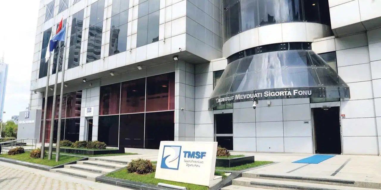 Türkiye'nin en büyük şirketi TMSF oldu: Yapılan operasyonlar ne anlama geliyor?