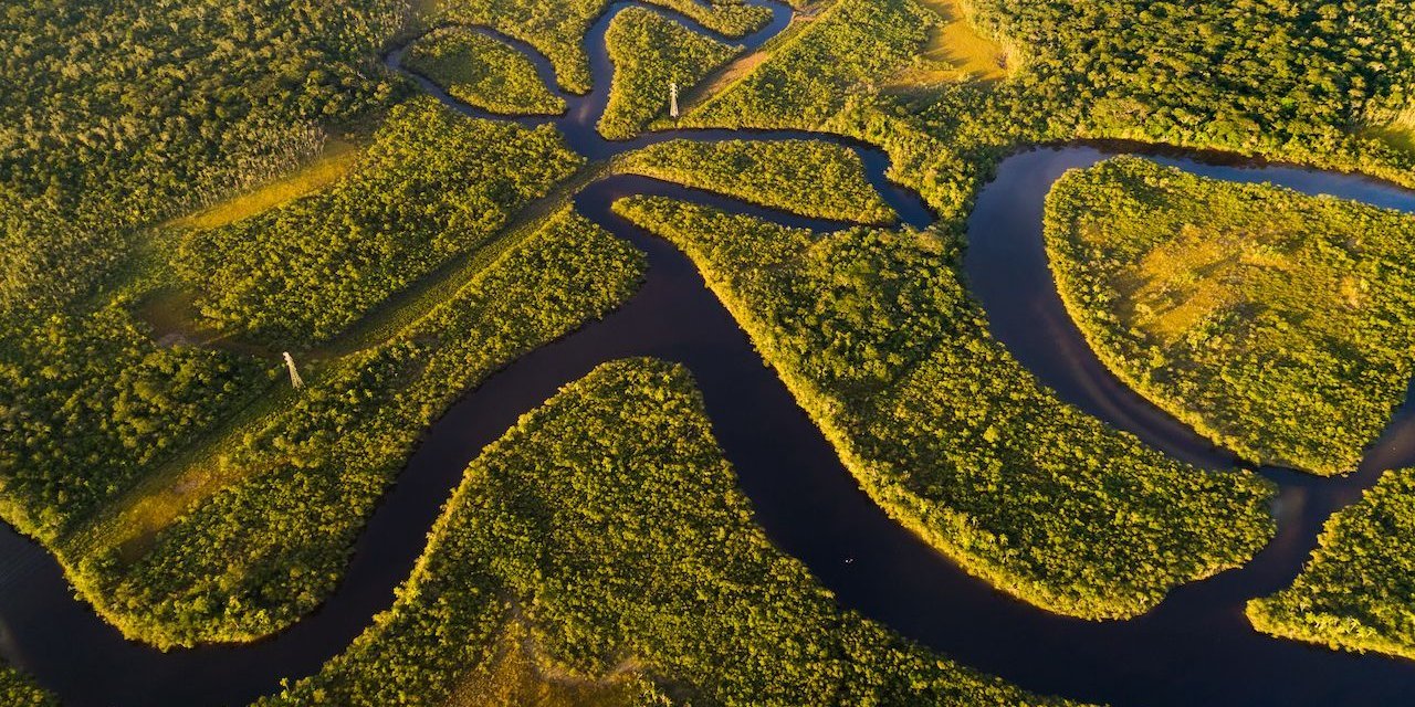 İklim zirvesi öncesi RSF’den çağrı: Çevre haberciliği baskı altında