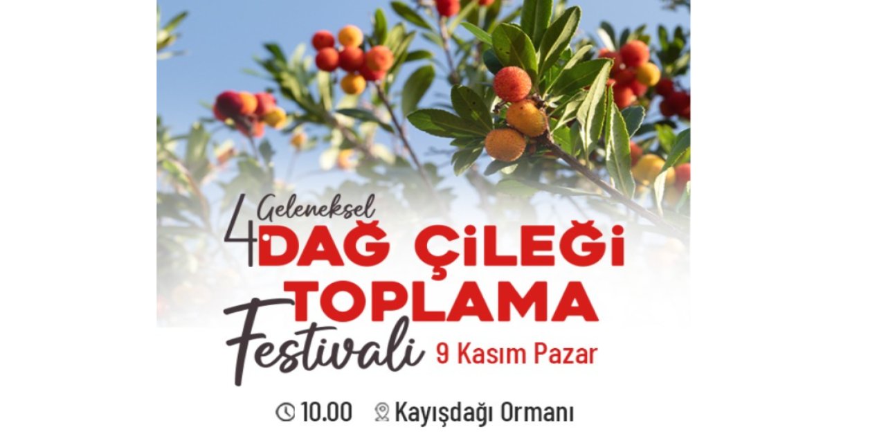 Ataşehirliler Dördünce Kez Dağ Çileği Festivali’nde Buluşuyor