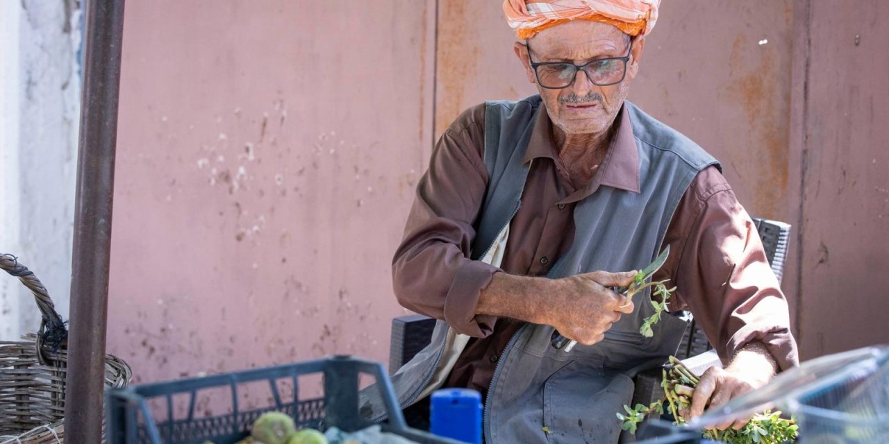 Beydağ incirinin katma değeri artıyor
