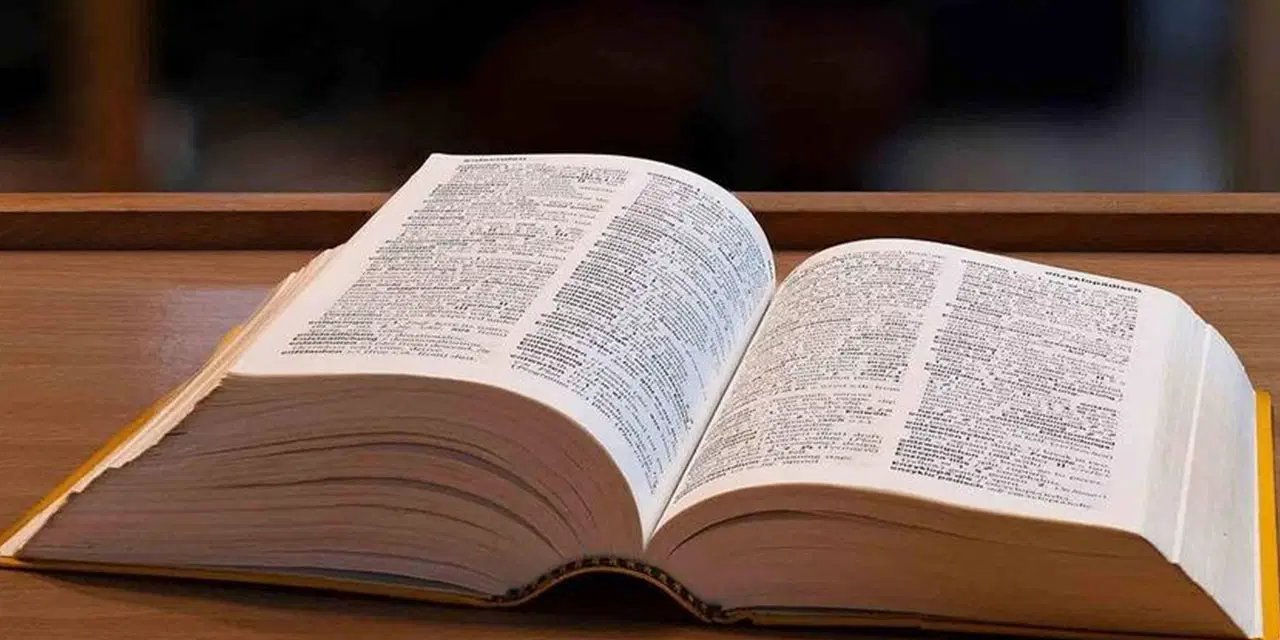 Cambridge Sözlüğü 2025’in kelimesini açıkladı: 'Parasosyal' ne demek?