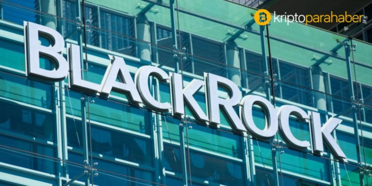 Dünyanın en büyük varlık yöneticisi BlackRock Inc., 2021 küresel görünüm raporunu yayınladı. 
