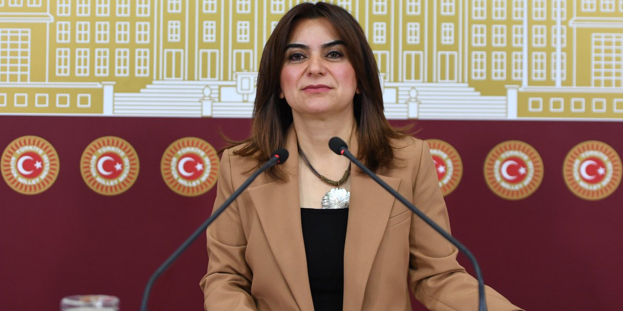 İmralı’ya giden Koçyiğit'ten açıklama: Komisyonu bilgilendireceğiz