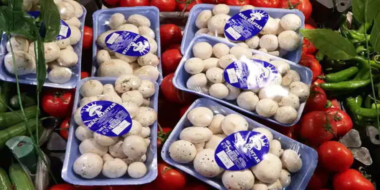 İstanbul'da 1 ayda 60 kişi mantardan zehirlendi: Uzmanından kritik uyarılar!