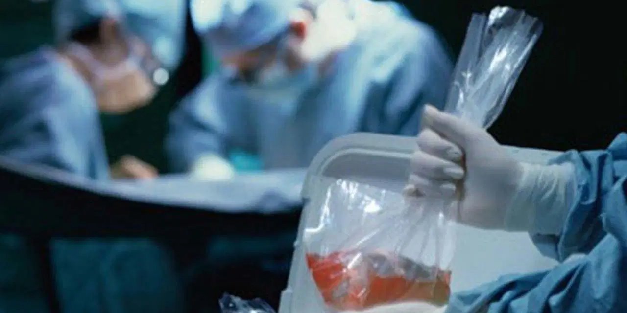 Kuduzlu böbrek nakli yapıldı, hayatını kaybetti