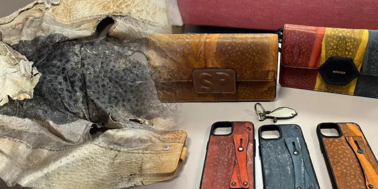 Balon balığı derisinden yaptığı aksesuarlar mahkemelik oldu