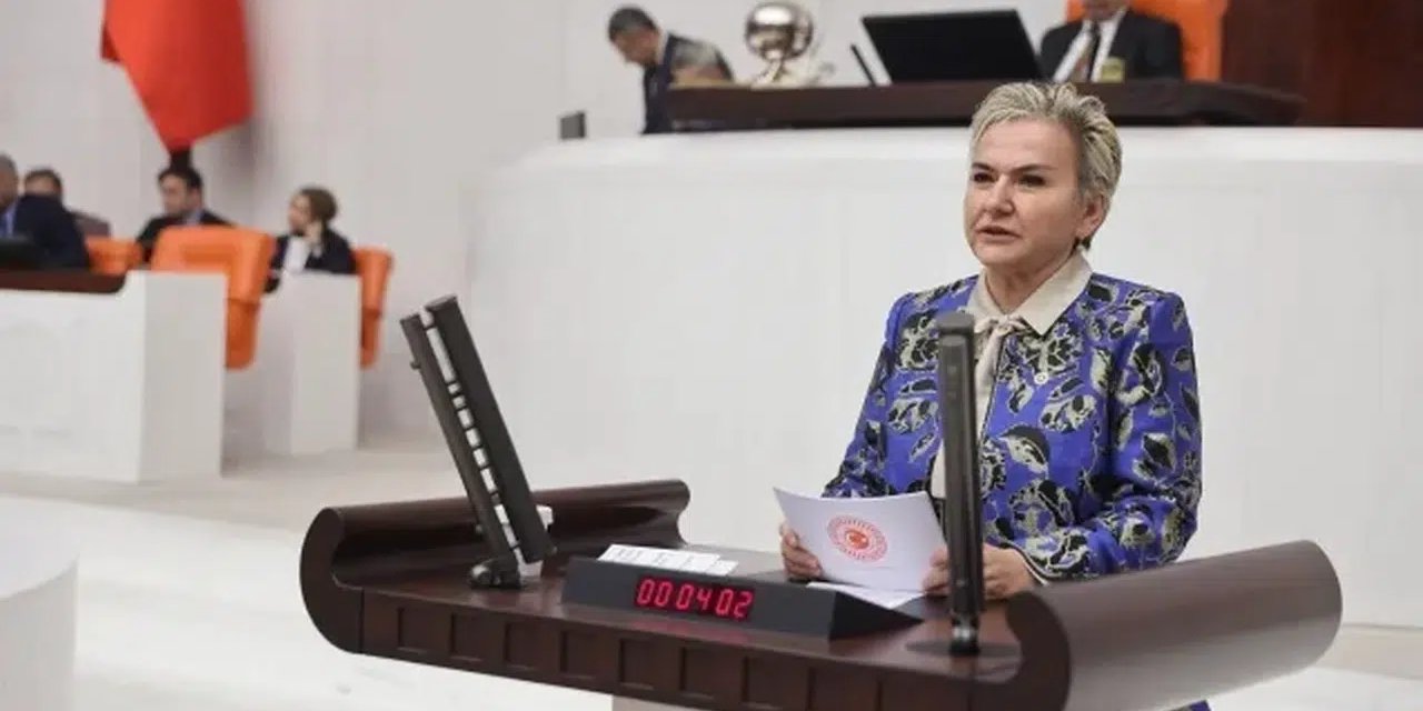 CHP'li Nimet Özdemir, Abu Dabi'deki Türk denizci Ali Yol'un hak ihlallerini Meclis gündemine taşıdı