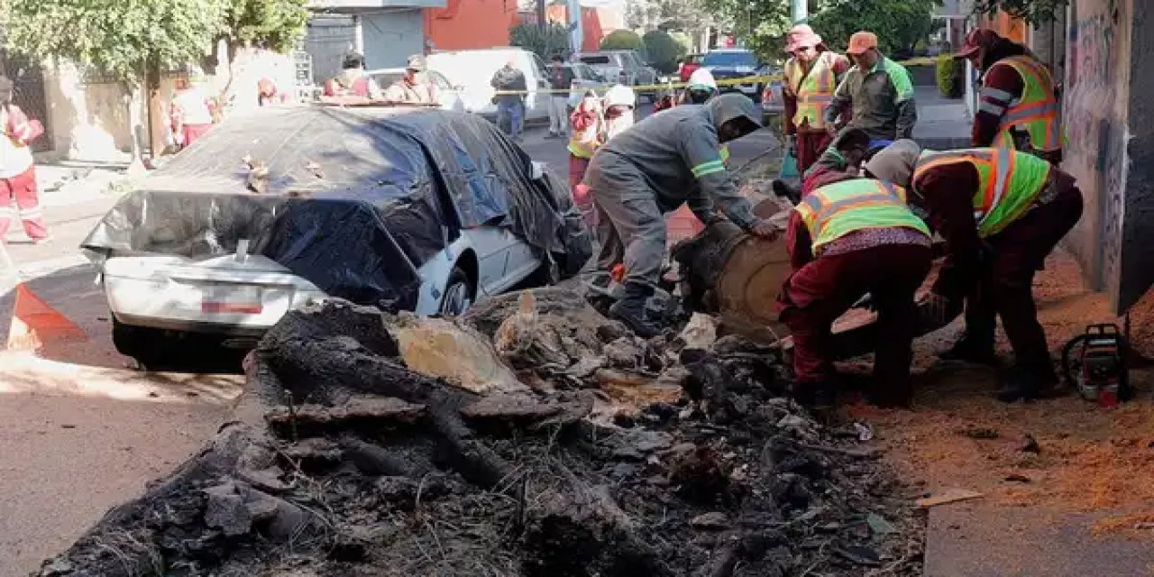 Meksika'da 6.5 büyüklüğünde deprem: Çok sayıda ölü ve yaralı var!