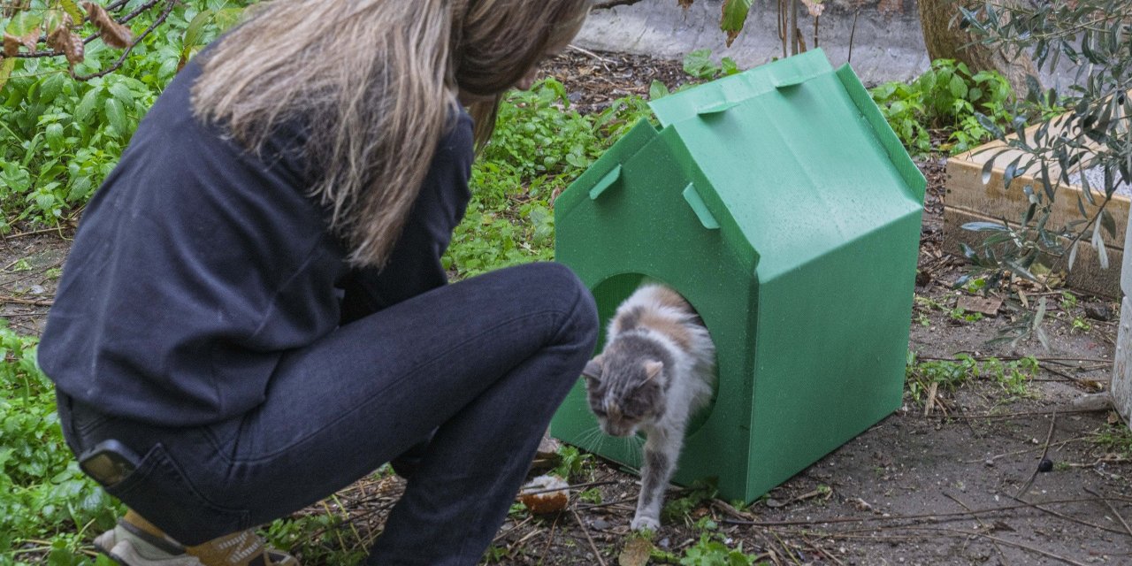 Başkan Tugay söz verdi, kediler sıcak yuvalarına kavuştu