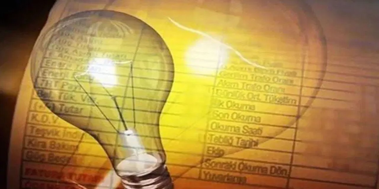 Elektrik dağıtım şirketleri devletten elektriği alıyor, ödemeyi geç yapıyor: Yolunu bulmuşlar!