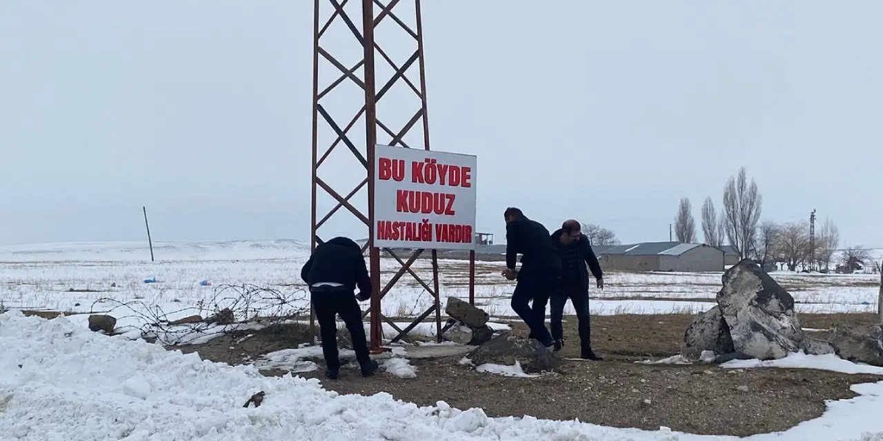 Bitlis'te bir köyde kuduz tespit edildi: Karantinaya alındı!