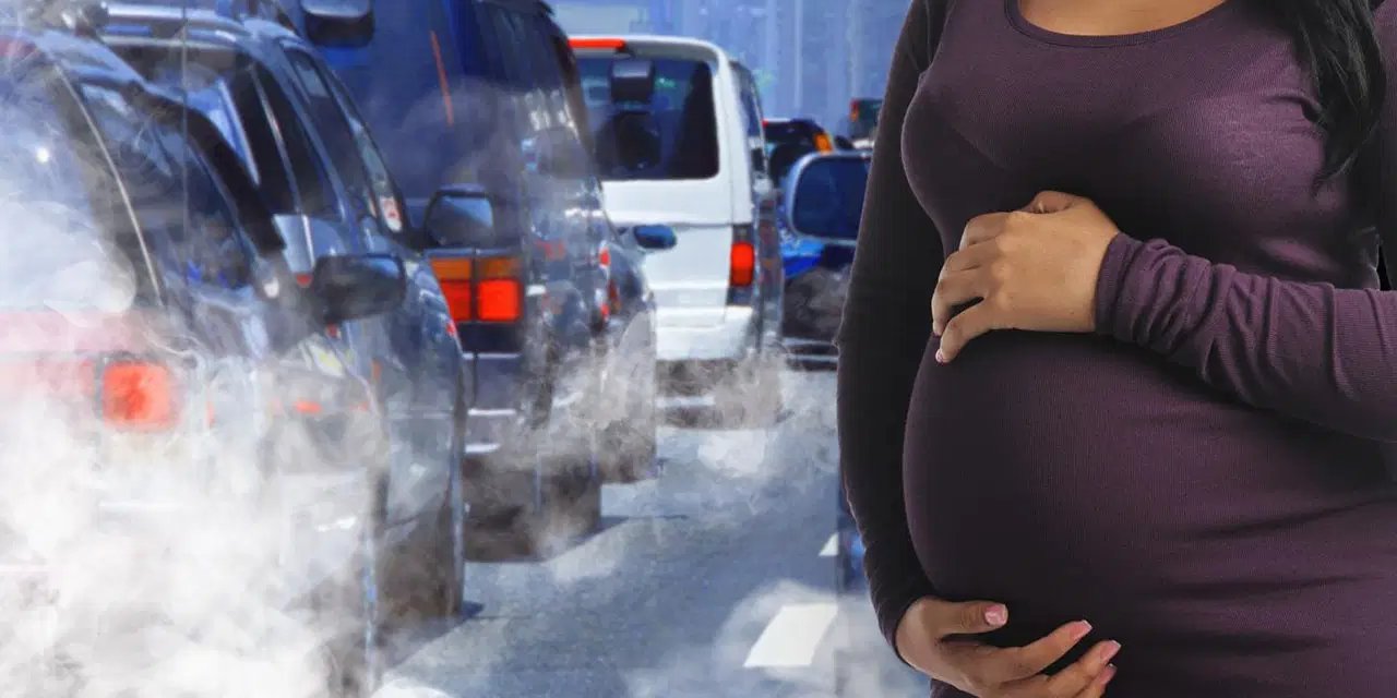 ‘Hava kirliliği üreme sağlığını olumsuz etkileyebilir’