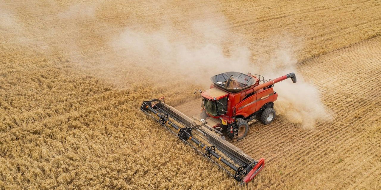TÜİK tarım rakamlarını açıkladı: Sebze ve meyvede üretici fiyatları uçuşa geçti!