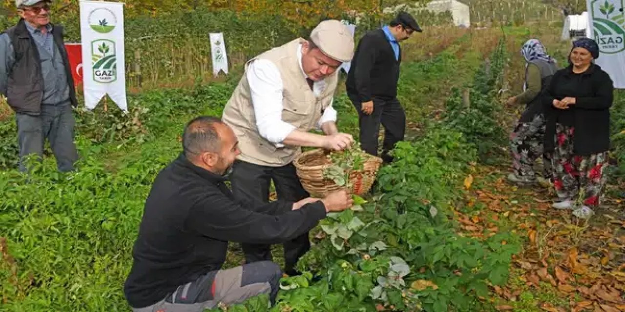 Köyden kente göçü tersine çevirecek proje: 10 dönümde 1,5 milyon kazandırıyor