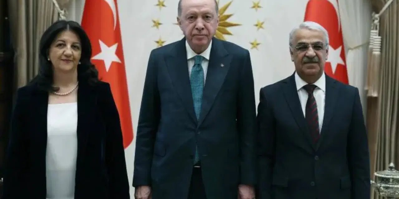 DEM Parti İmralı Heyeti'nden Erdoğan görüşmesine ilişkin açıklama