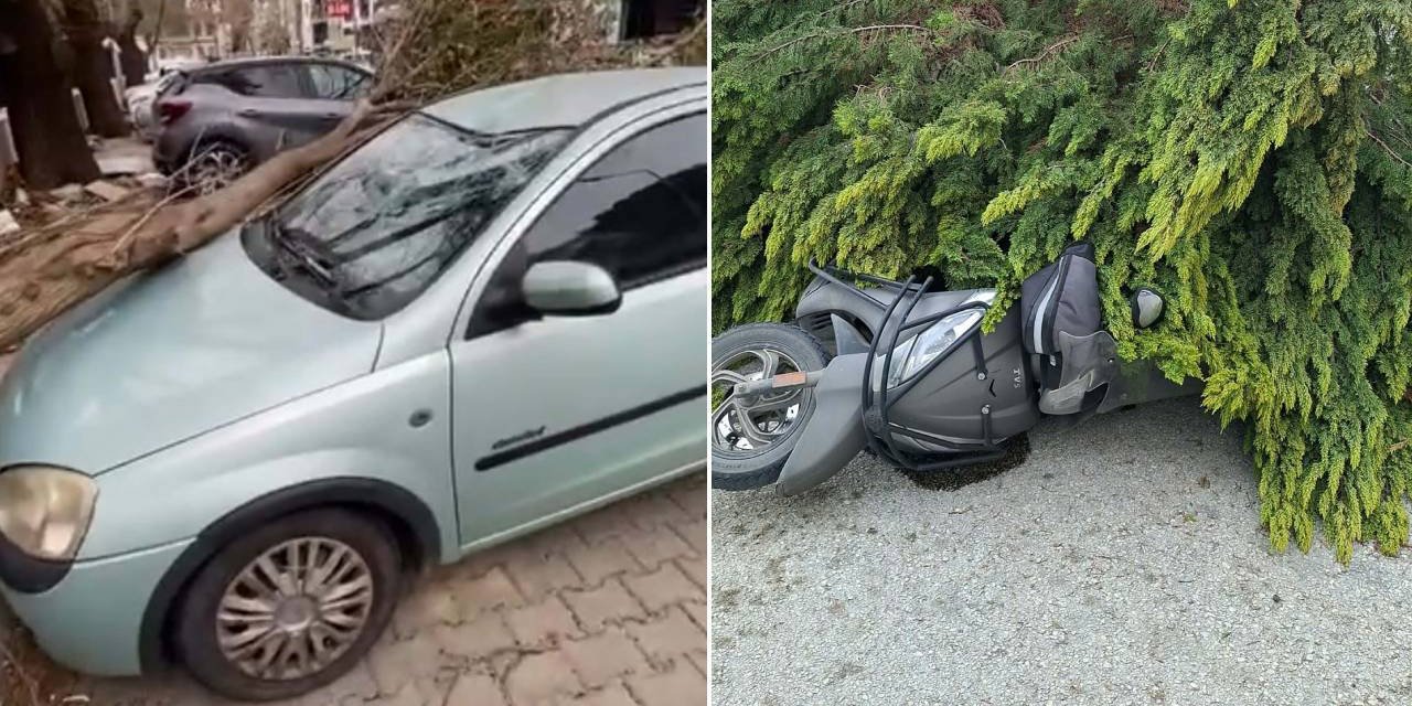 Çanakkale'de fırtına: Ağaçlar devrildi, balkon duvarı yıkıldı