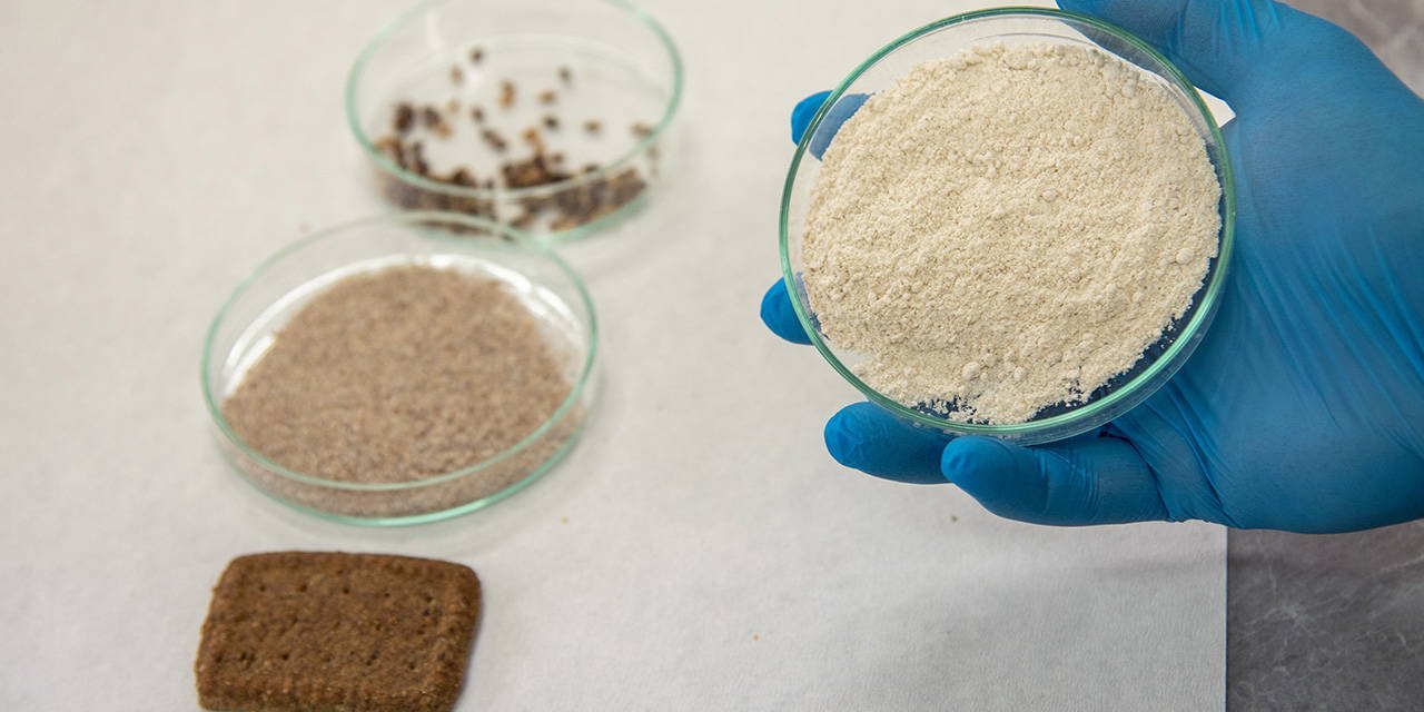 Selçuk Üniversitesi’nden devrim niteliğinde buluş: Kanser ve Alzheimer ile savaşan bisküvi üretildi!