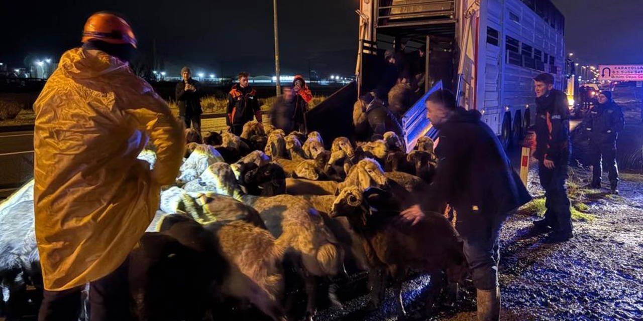 Kayseri’de 'taşkın' alarmı: 200 hayvan tahliye edildi