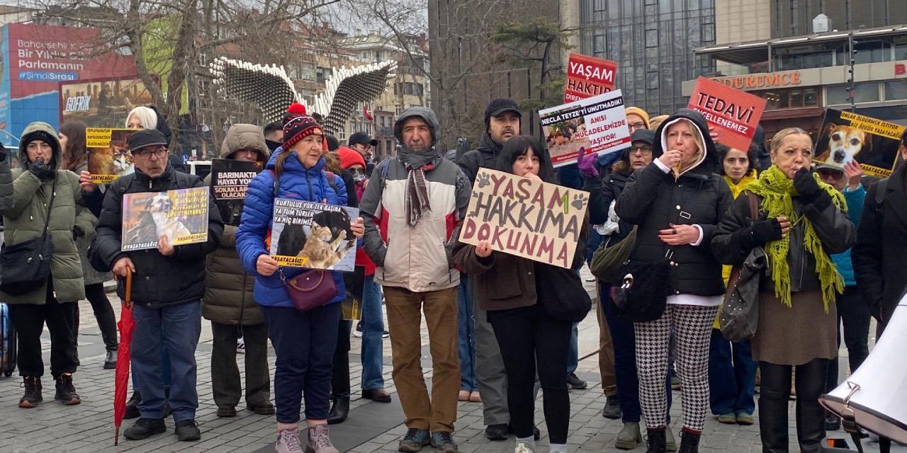 Beşiktaş’ta Necla teyze anması: Hayvan hakları savunucularından yasa tepkisi