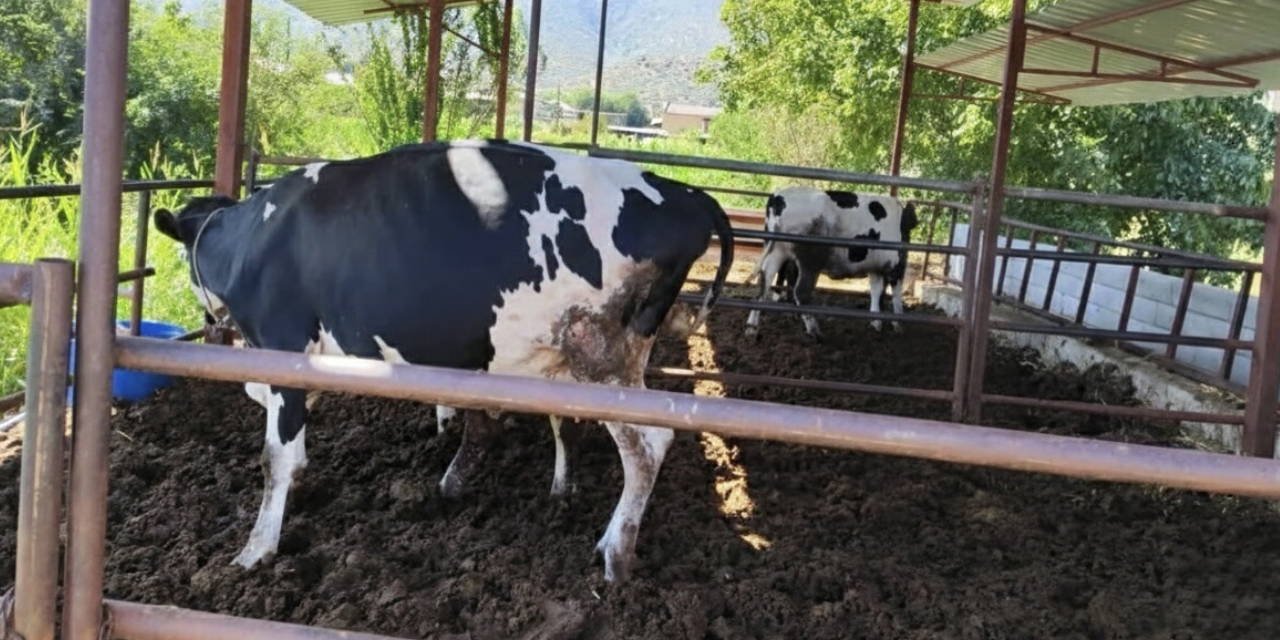 Uyuşturucu soruşturmasında gözaltına alınmıştı: Murat Dalkılıç'tan 'ihbar' iddialarına yanıt