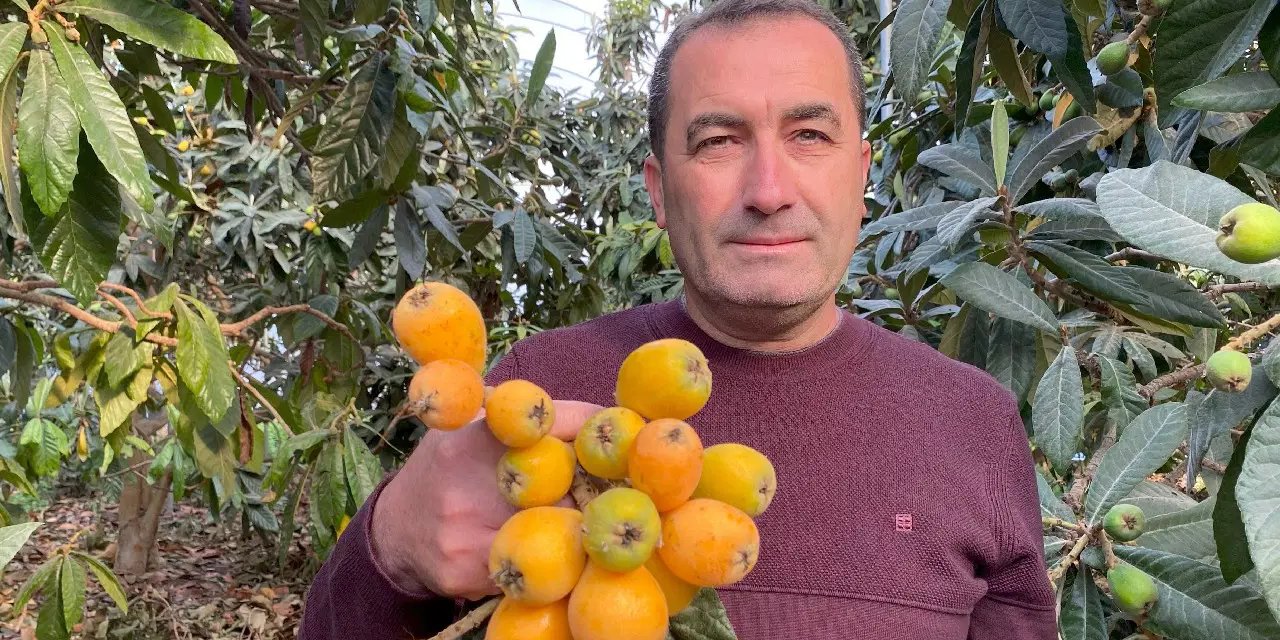 Mersin’den erken hasat müjdesi: Kilosu 1500 TL! Alıcısı Dubai'de....