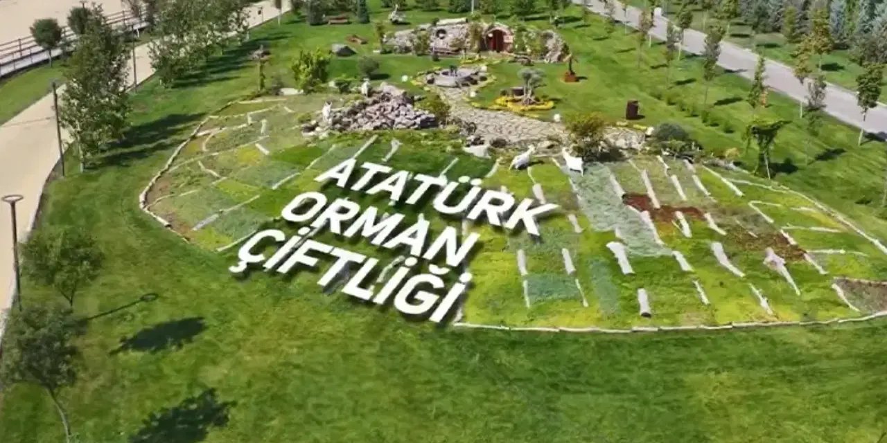 Atatürk Orman Çiftliği'nde bir taşınmaz depo olarak kiralanacak