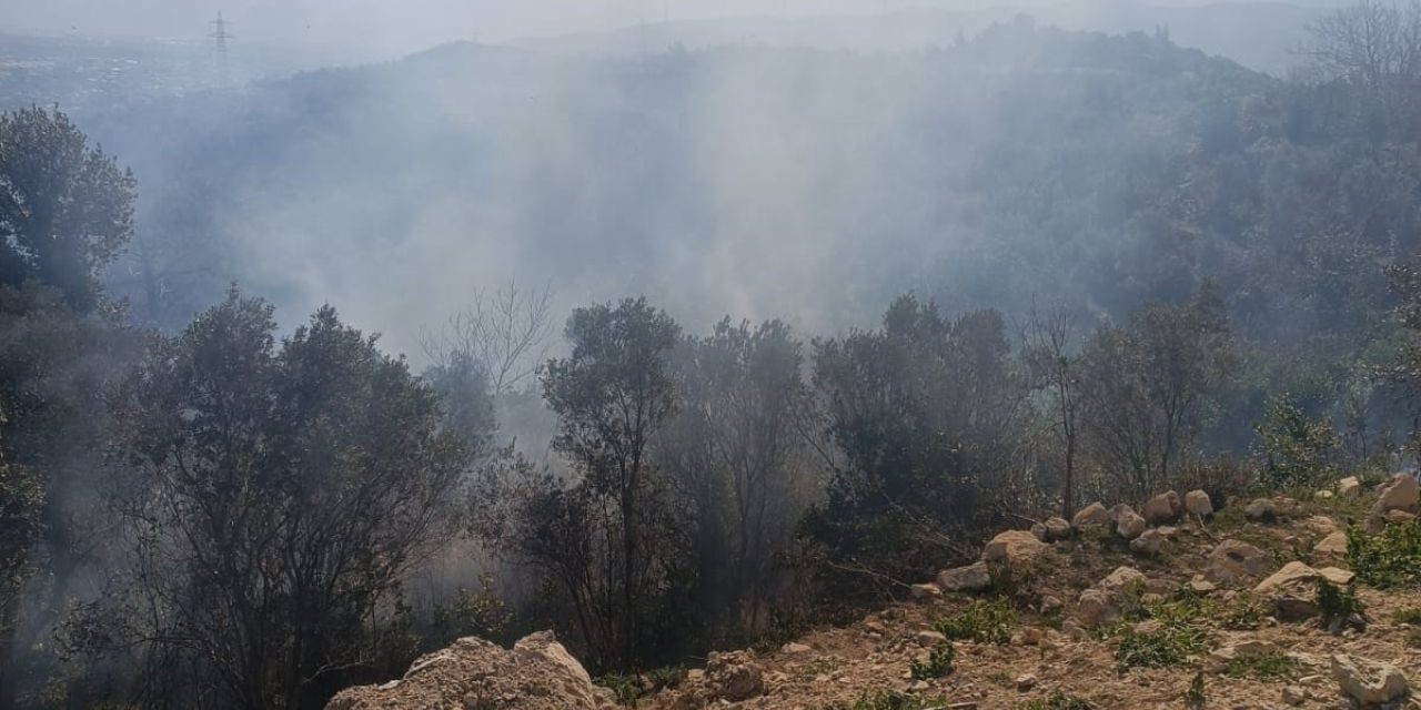 Samandağ’da ormanlık alanda çıkan yangın kısa sürede kontrol altına alındı