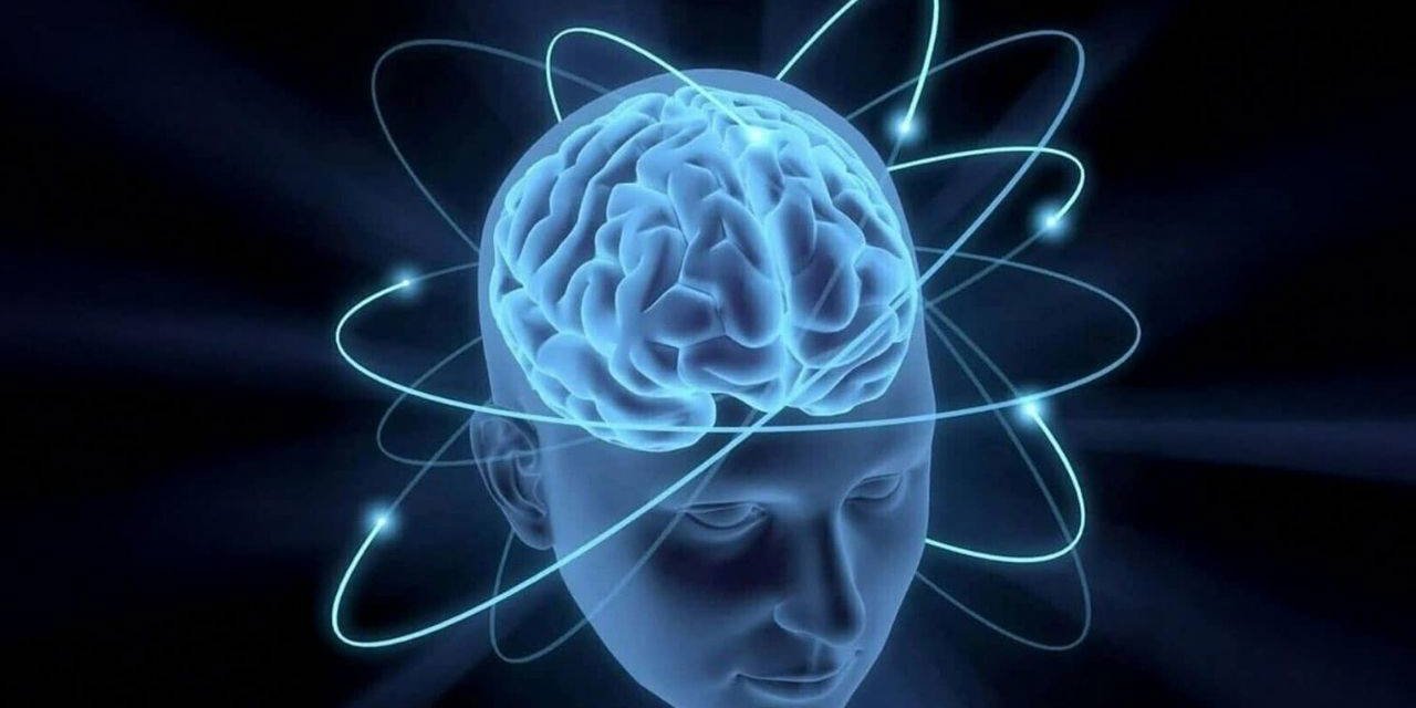 Beyin hakkında bildiklerinizi unutun: Yetişkinlikte de gelişmeye devam ediyor!
