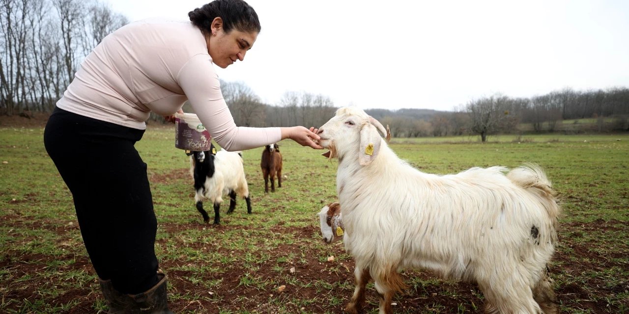 Lüksü bırakıp doğayı seçti! Keçileriyle yaşamaya başladı
