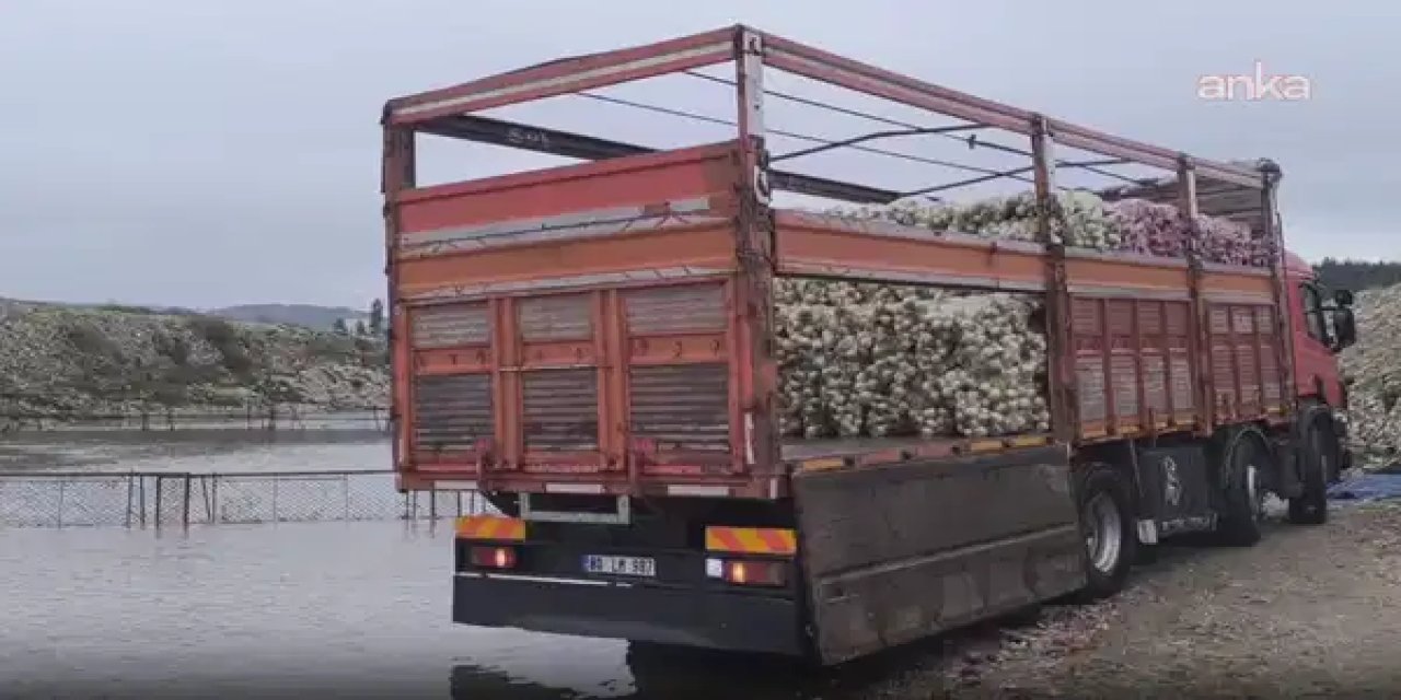 Nakliyeciler mazot zamlarından yakındı: 'Mazot zammı bizi öldürdü'