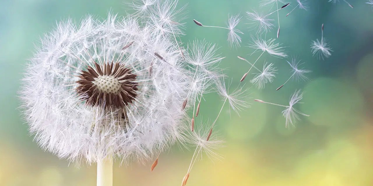 Alerji mevsimi başladı: Uzmanlardan korunma önerileri