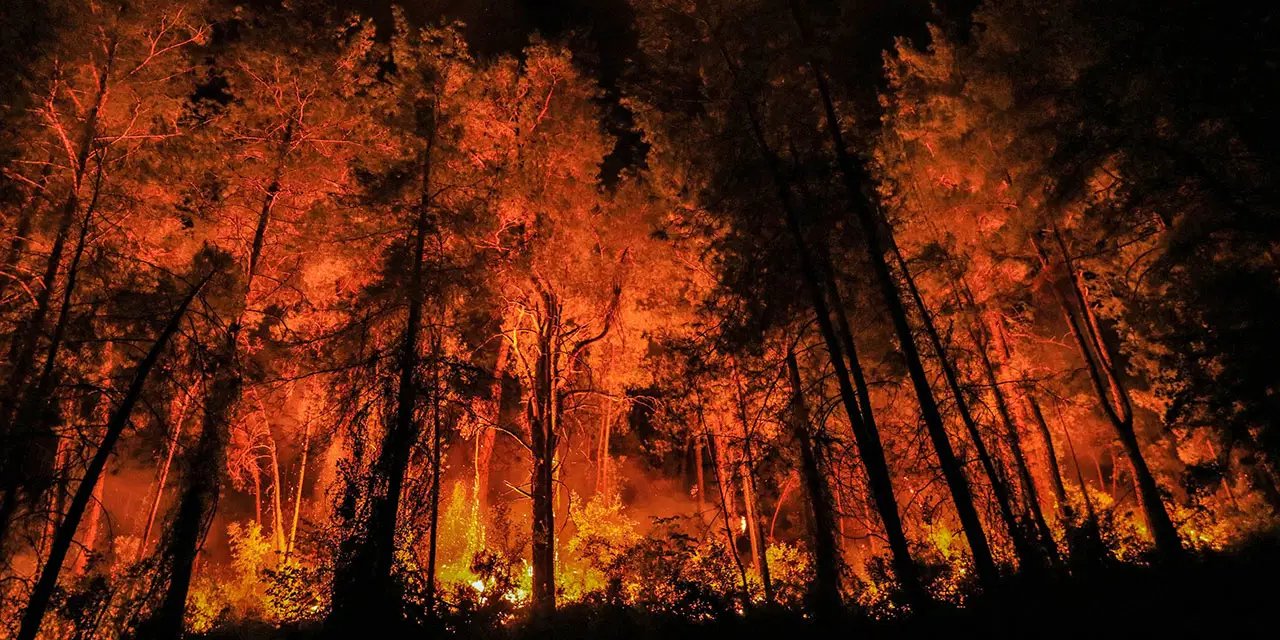 İhmal, kasıt, kaza... Bakanlık 2025 orman yangını raporunu açıkladı!