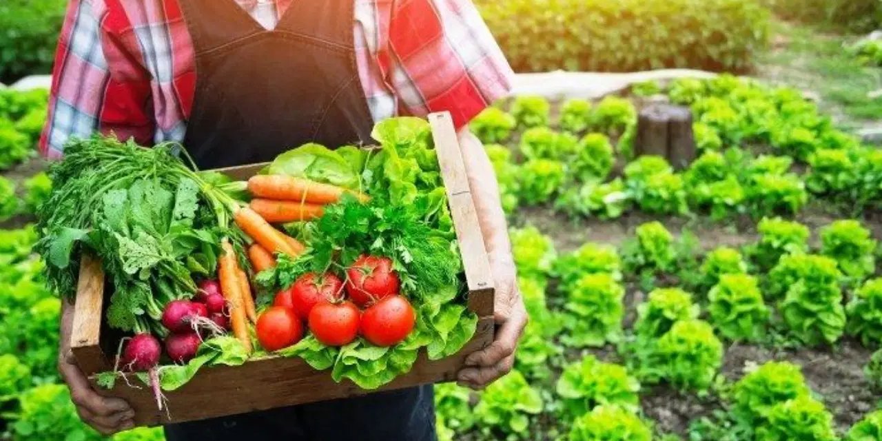 TZD Genel Başkanı Hidayet Muslu: 'Beslenme bir beka sorunu'