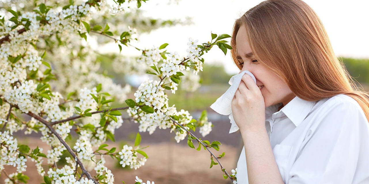 Uzmanından uyarı: Polen alerjisinde erken tedavi şart