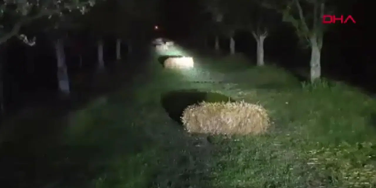 Iğdır'da üreticilerin don nöbeti: Çiçek açan kayısı ağaçlarını dumanla koruyorlar