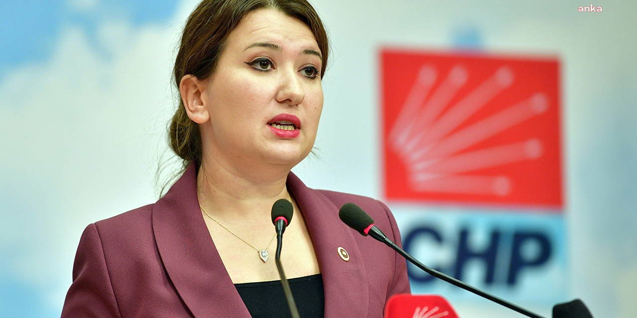 CHP'li Gökçen açıkladı: 'Seçimleri kazandığımızda ilk işimiz...'