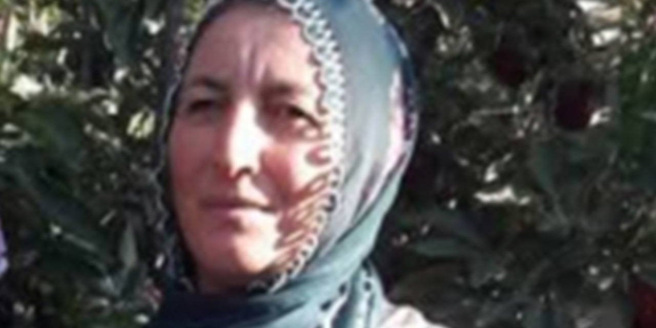 Üzerine ağaç devrilen kadın hayatını kaybetti